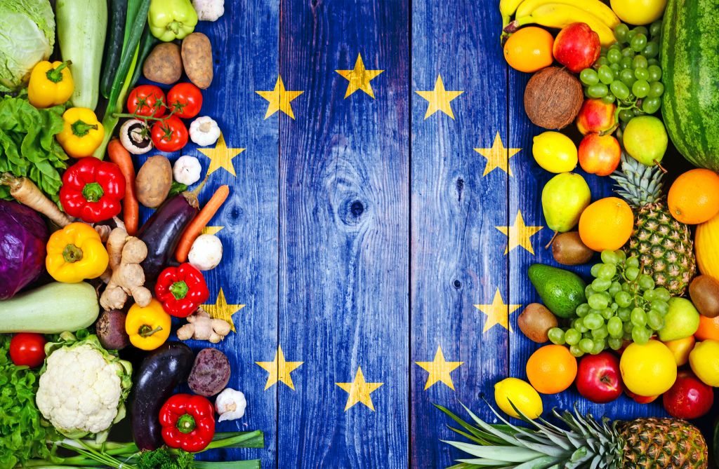 Importer des fruits et légumes frais en Europe: la nouvelle donne ! Séminaire importateurs CSIF 17 mai 2022